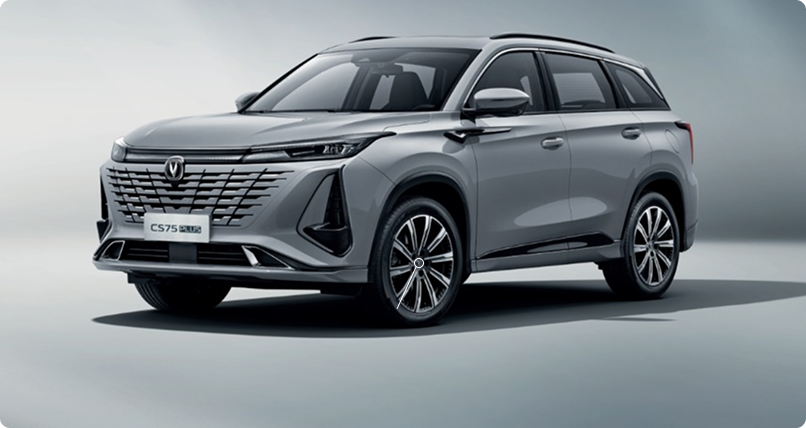 19-дюймовые легкосплавные диски