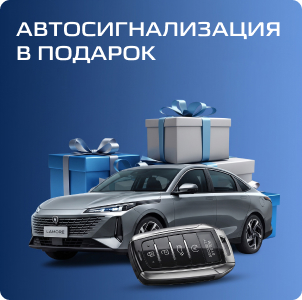 Зимние шины в подарок